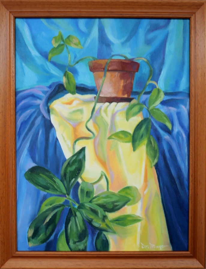 The Force of Life frame