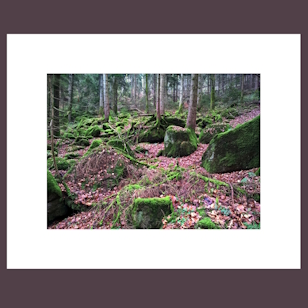 Geroldsau II. print image