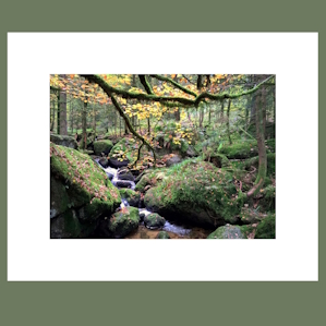 Geroldsau I. print image