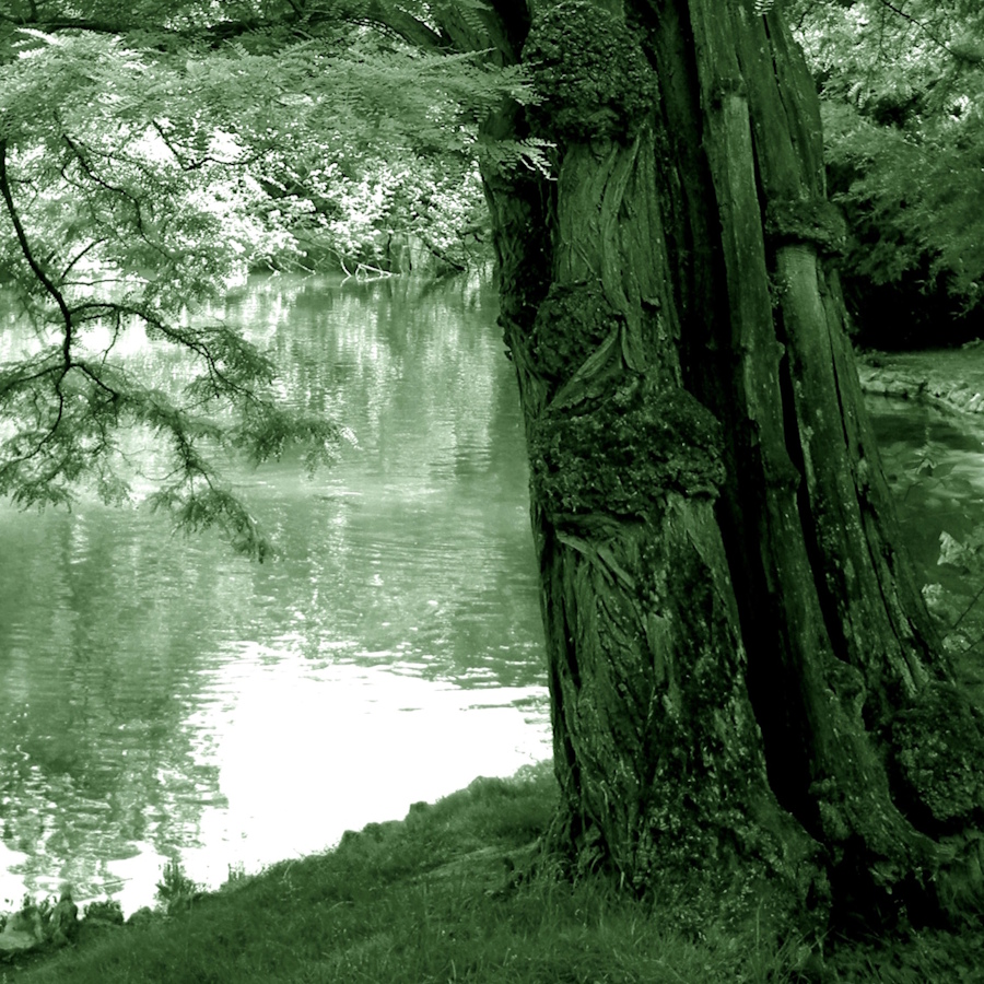 In the Bois de Boulogne II. detail 2