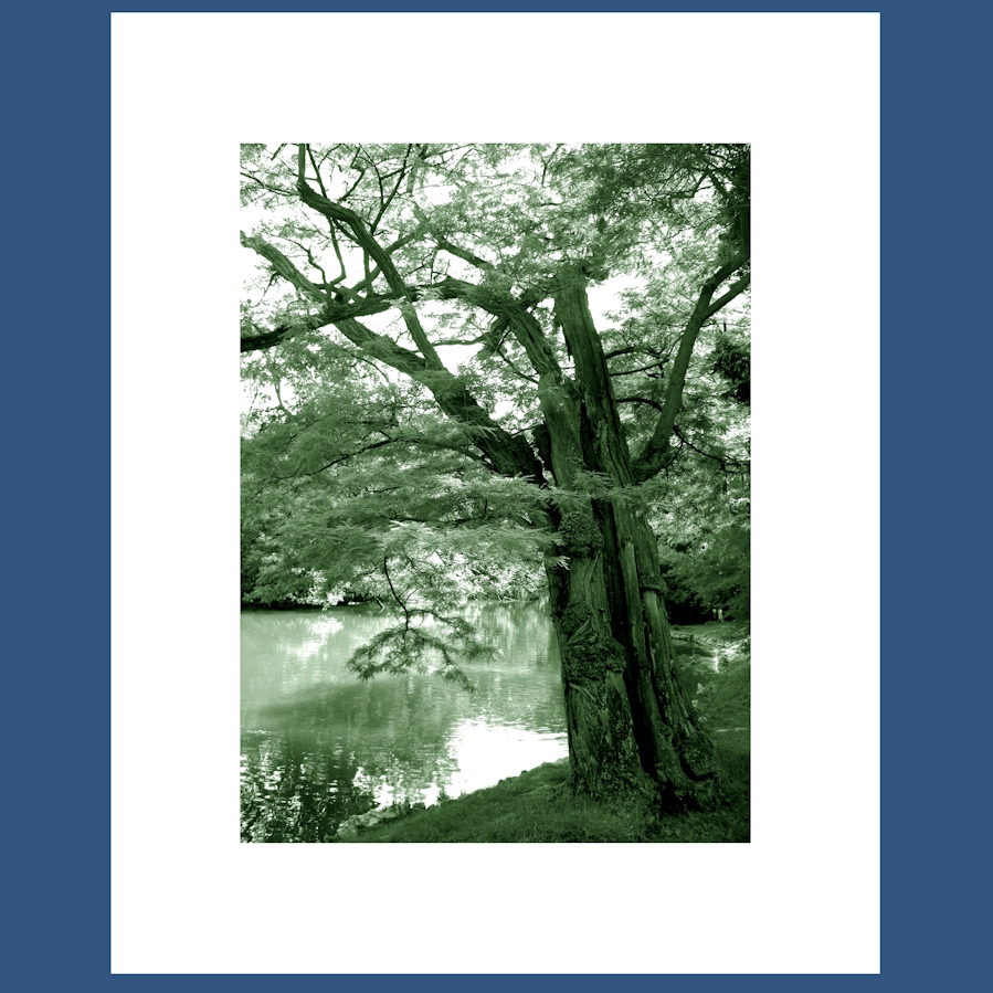 In the Bois de Boulogne II. print