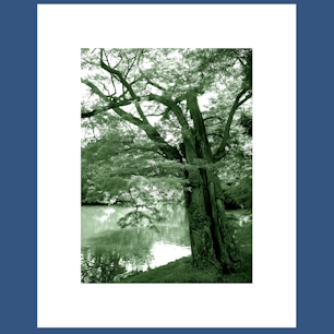 In the Bois de Boulogne II. print image