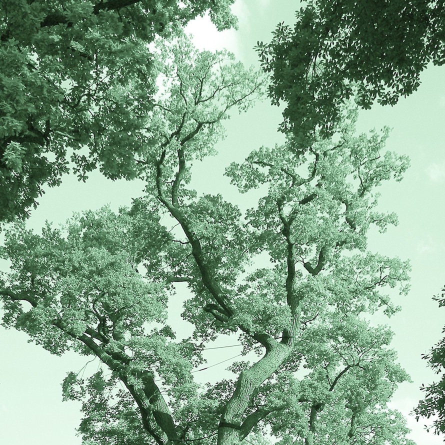 In the Bois de Boulogne I. detail 1