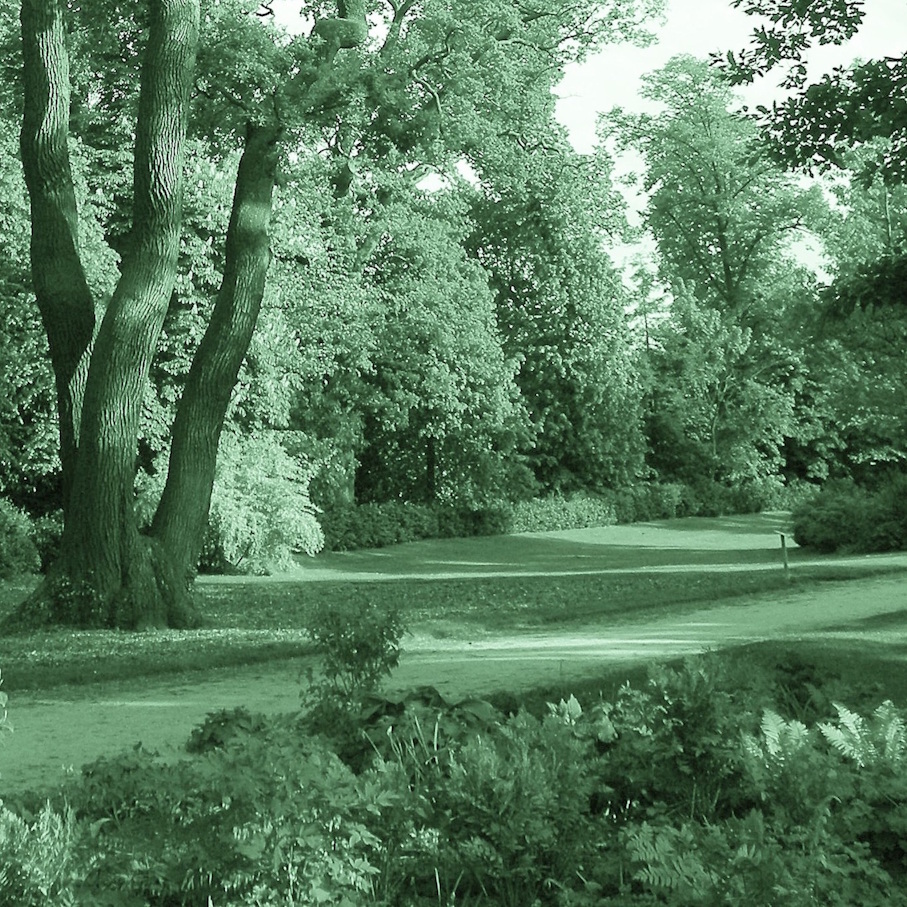 In the Bois de Boulogne I. detail 2