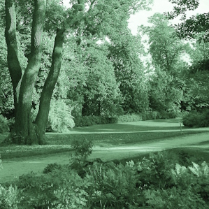 In the Bois de Boulogne I. detail 2 image