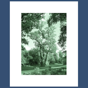 In the Bois de Boulogne I. print image