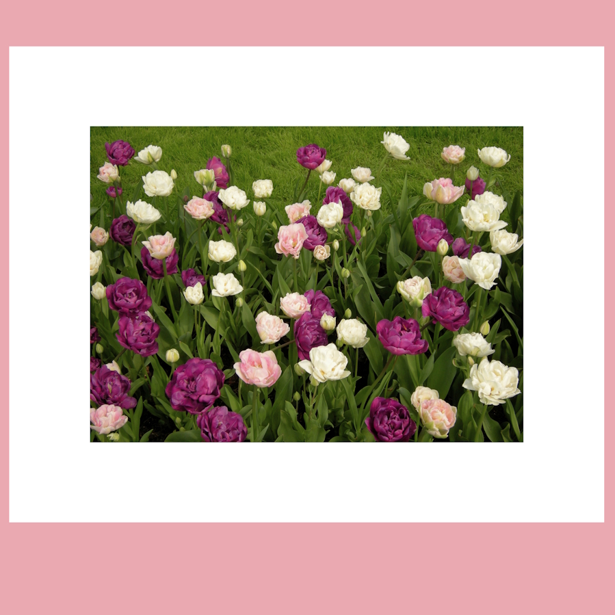 Purple Flow II. print