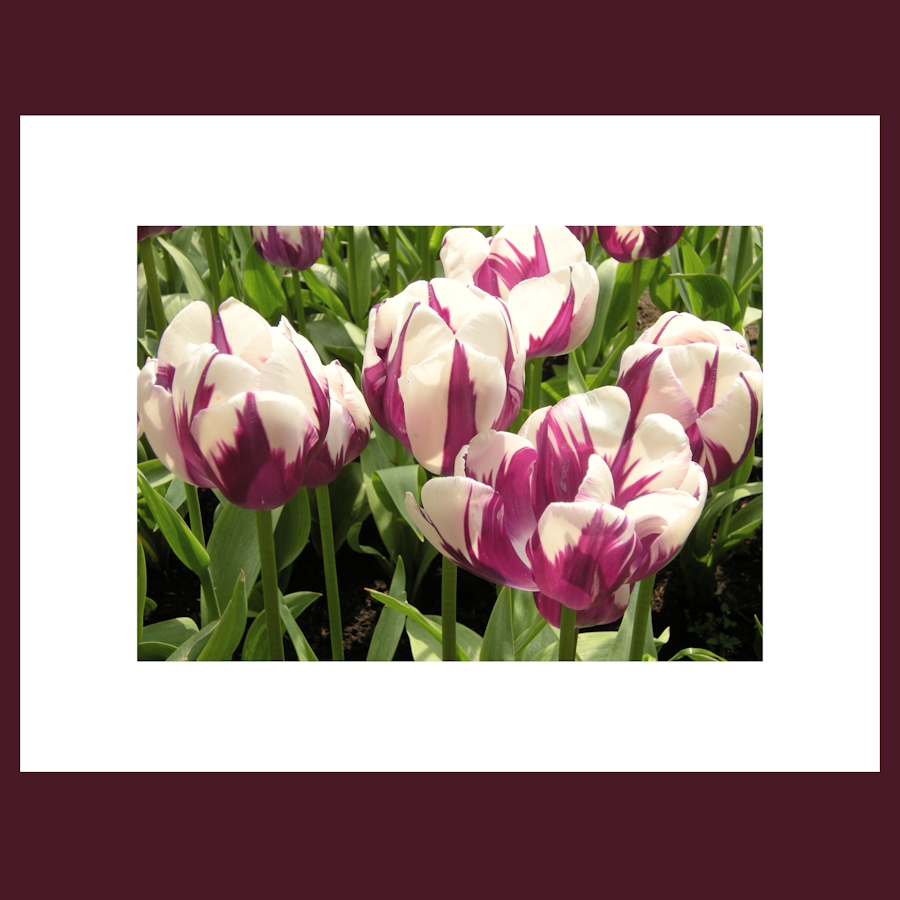 Purple Flow I. print