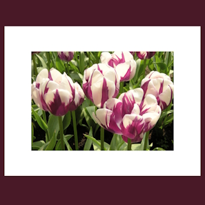 Purple Flow I. print image